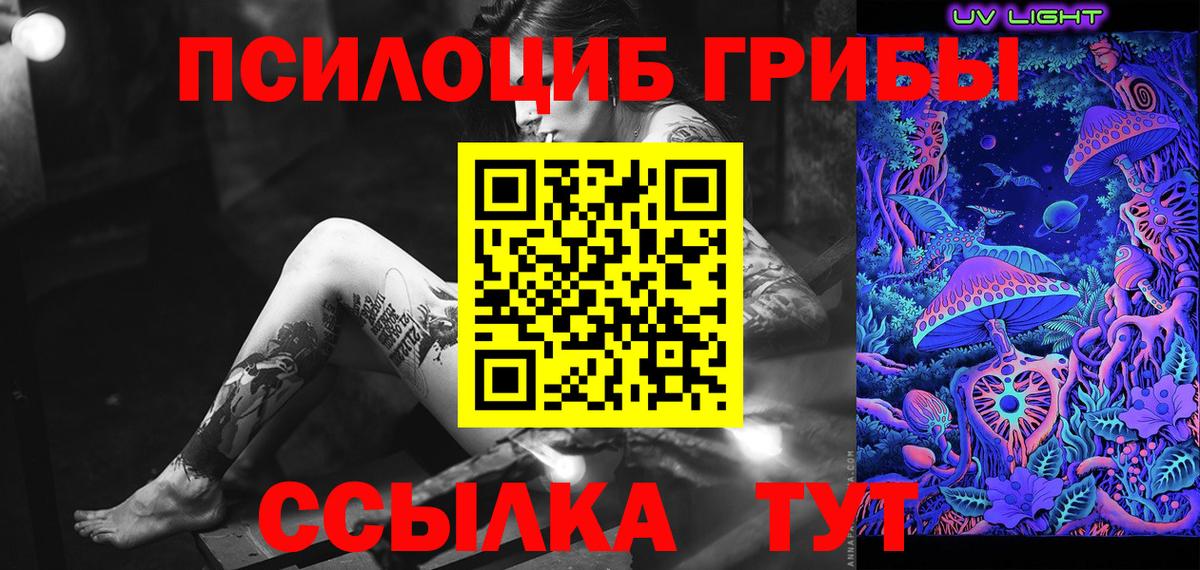 Псилоцибиновые грибы ЛСД  купить наркотики цена  Псилоцибиновые грибы Psilocybine cubensis  Шебекино  Вход с VPN 